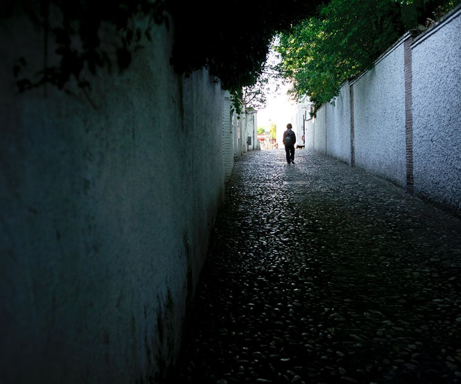 raul-montanos-fotografia-el-albaicin