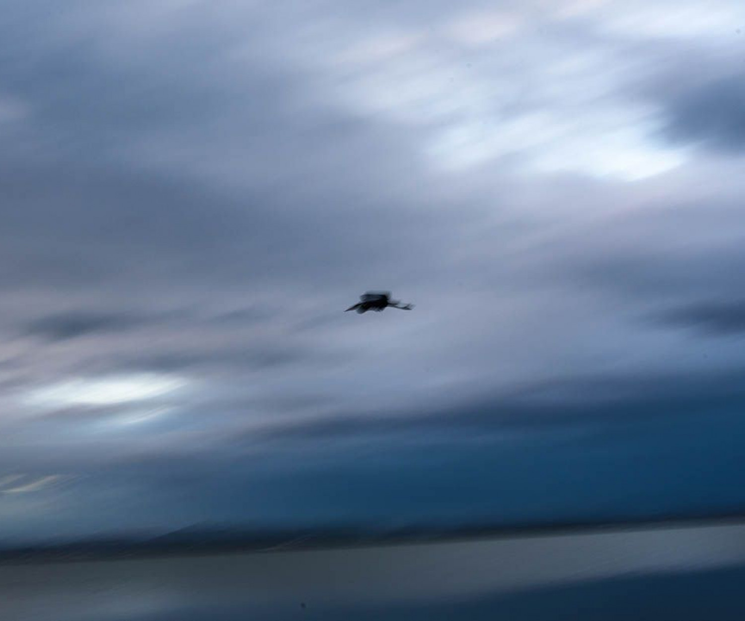 raul montanos fotografia