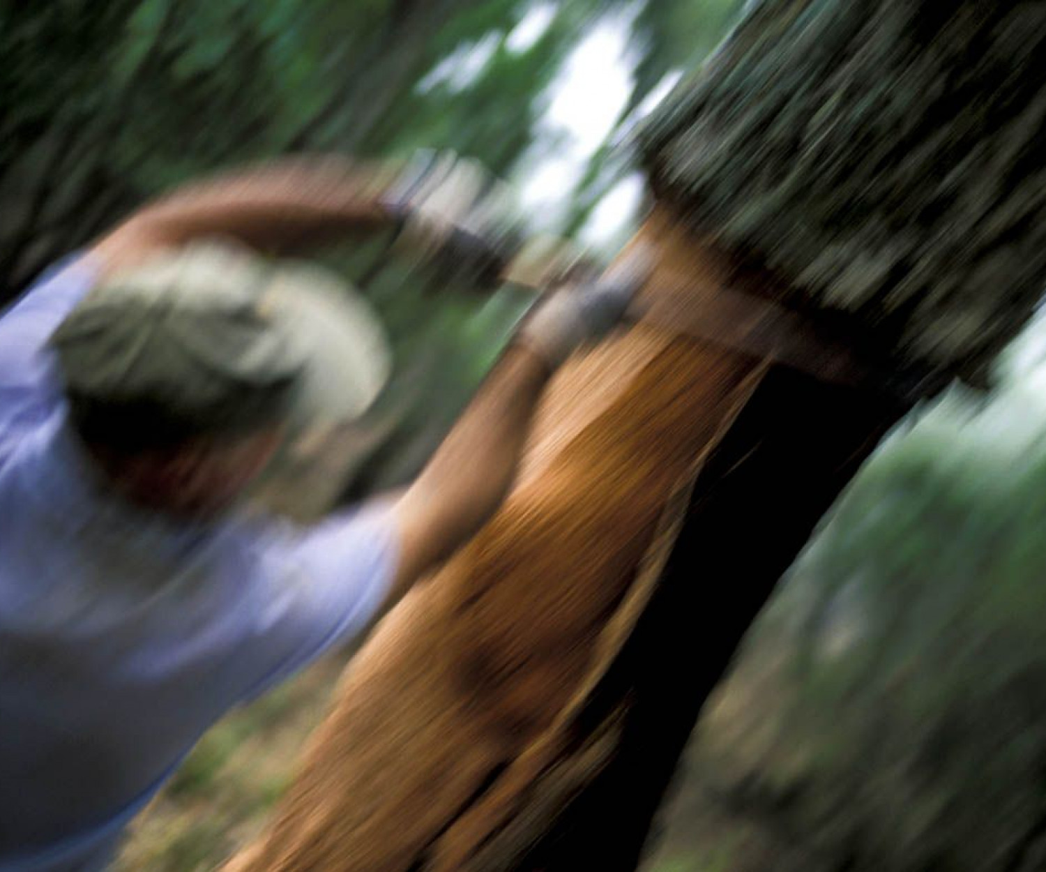 Raúl Montanós Fotografía corcho