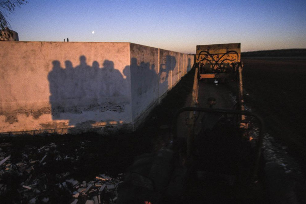 Raúl Montanós Fotografía Aceituneros