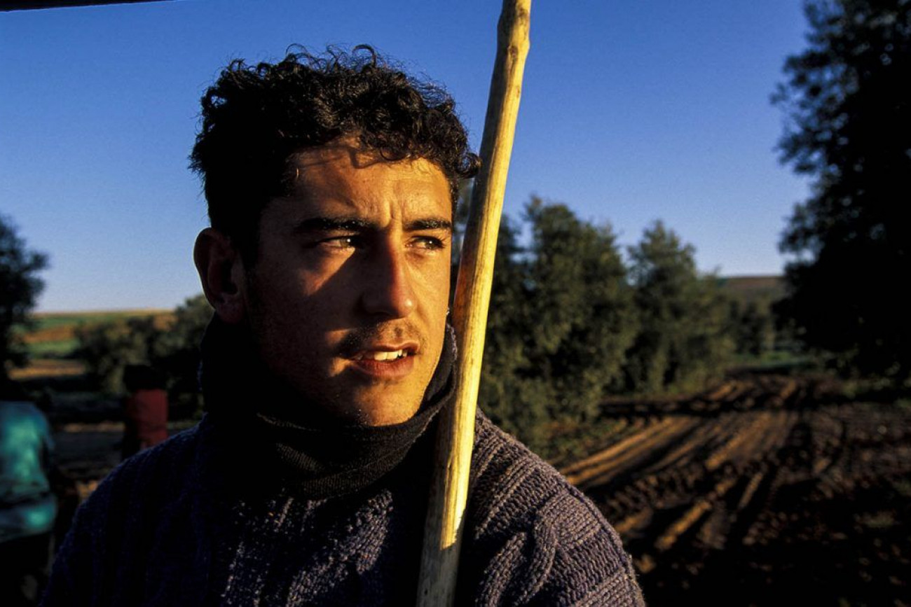 Raúl Montanós Fotografía Aceituneros