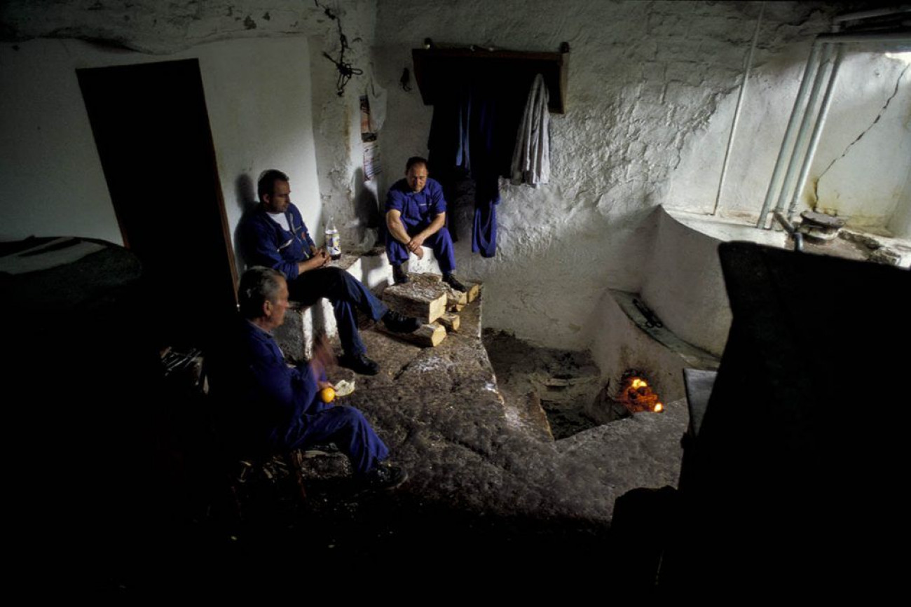 Raúl Montanós Fotografía Aceituneros