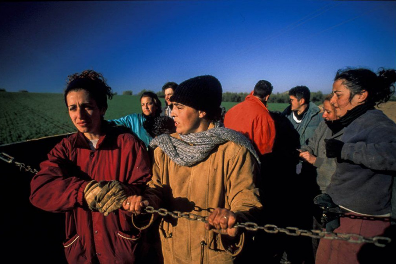 Raúl Montanós Fotografía Aceituneros