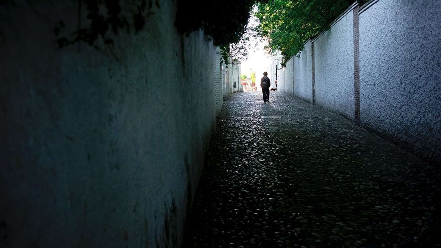 raul-montanos-fotografia-el-albaicin