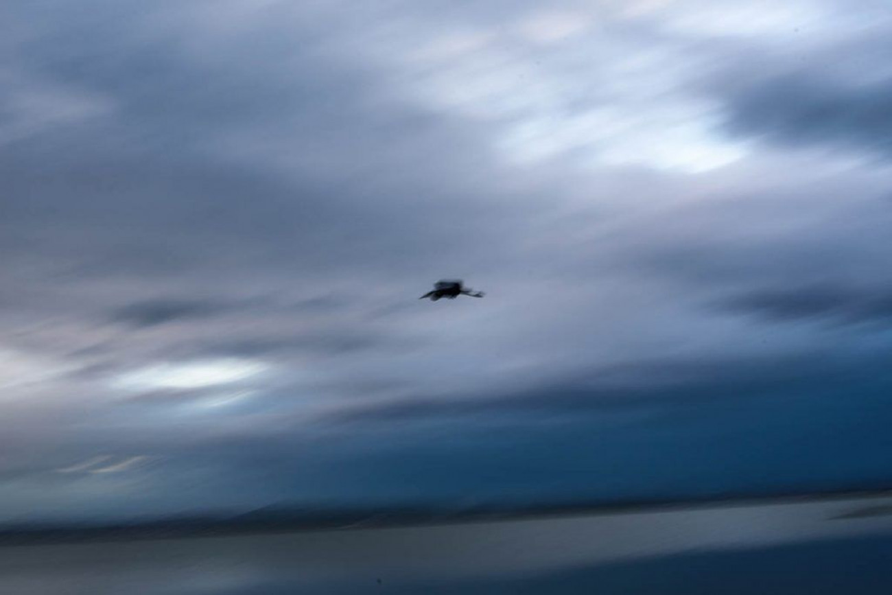 raul montanos fotografia