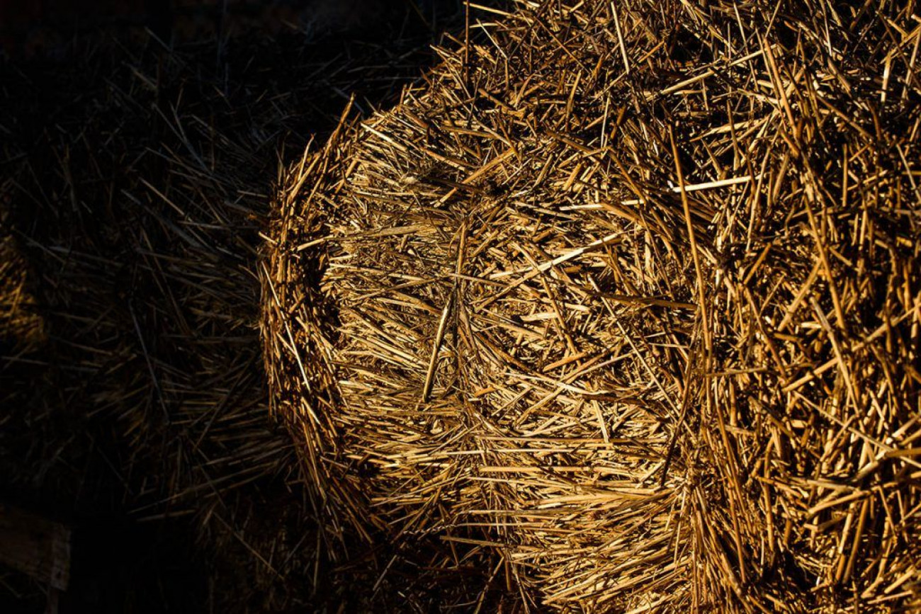 raul montanos fotografia