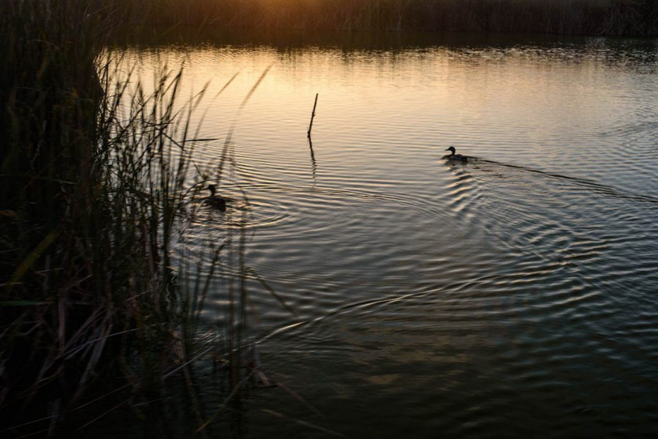 raul montanos fotografia