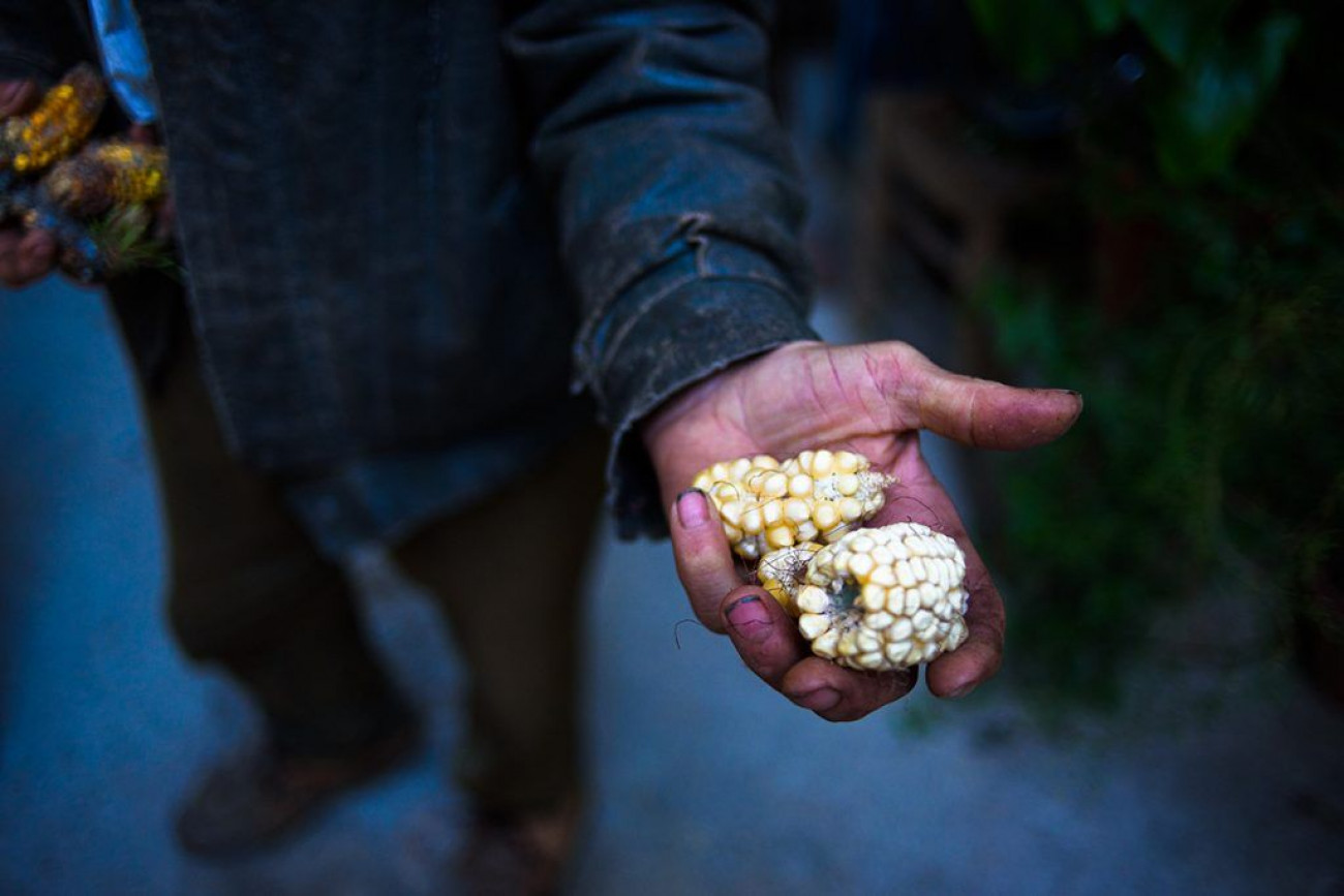 Raúl Montanós Alpujarra