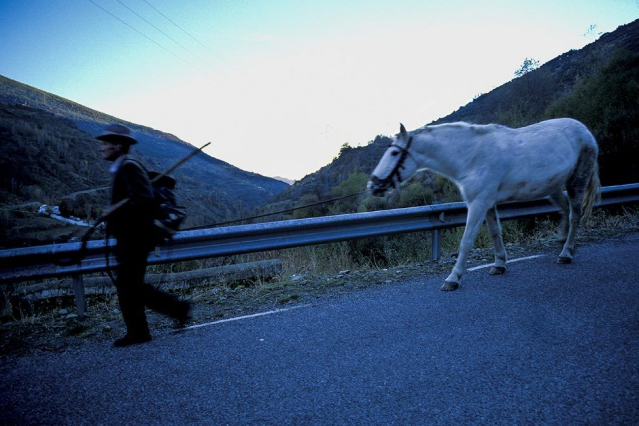 Raúl Montanós Alpujarra
