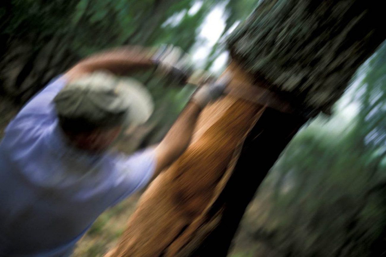 Raúl Montanós Fotografía corcho