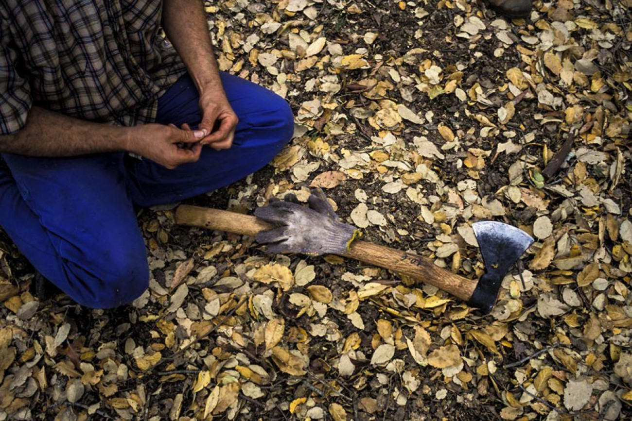 Raúl Montanós Fotografía corcho