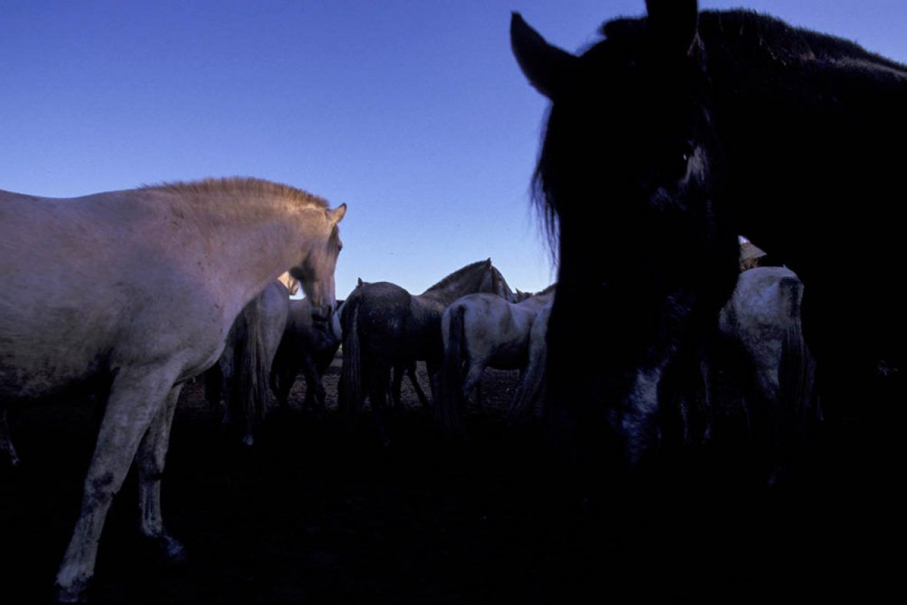 Raúl Montanós Fotografía Jerez