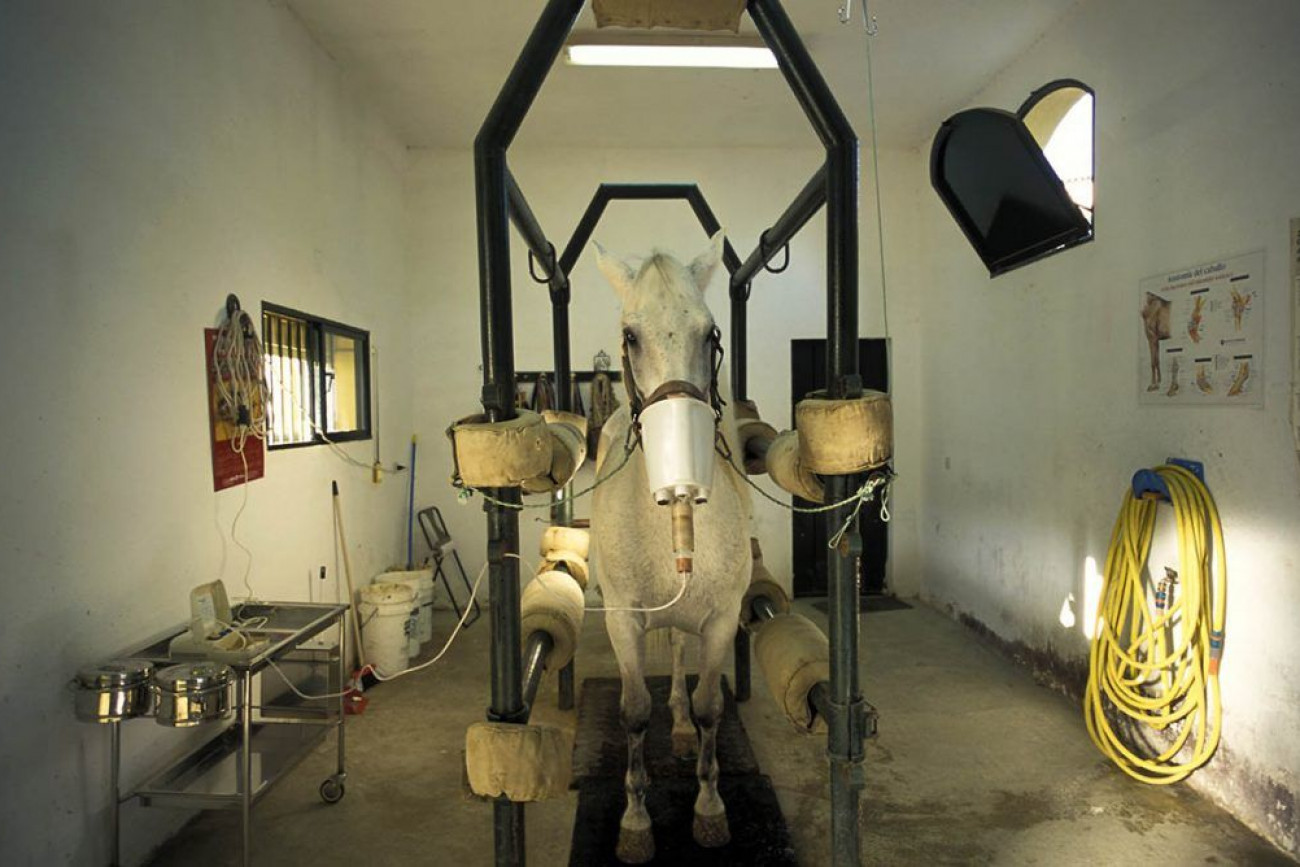 Raúl Montanós Fotografía Jerez