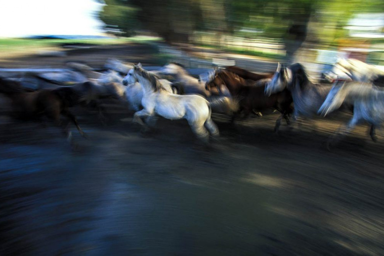 Raúl Montanós Fotografía Jerez
