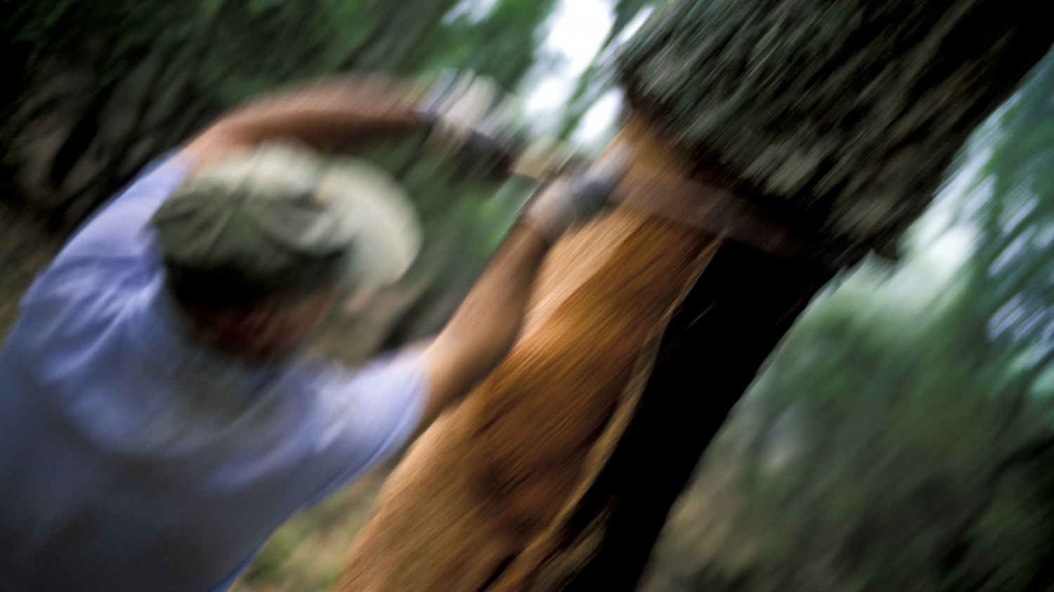 Raul Montanos Fotografia