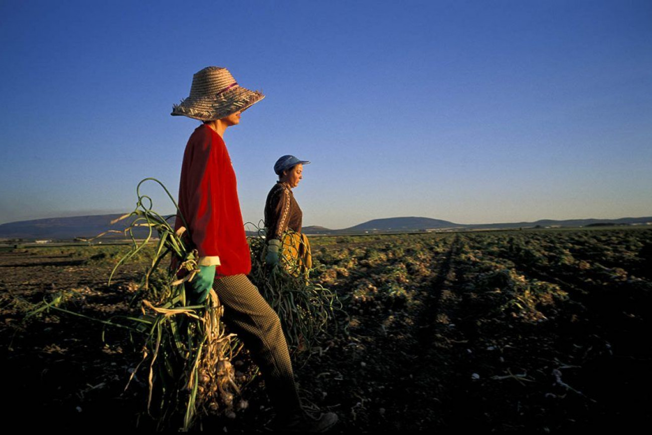 Raúl Montanós Fotografía Oriente