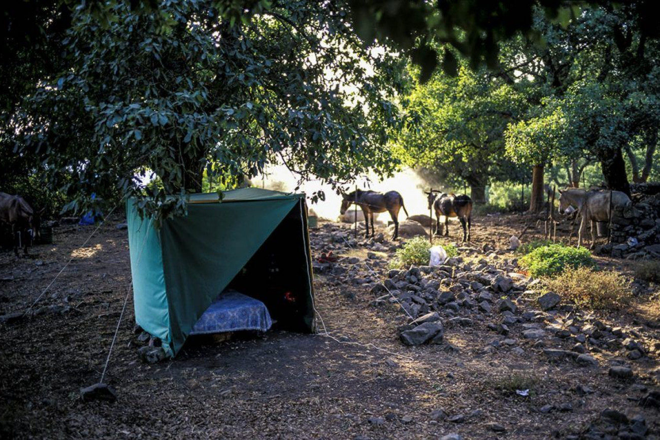 Raúl Montanós Fotografía corcho