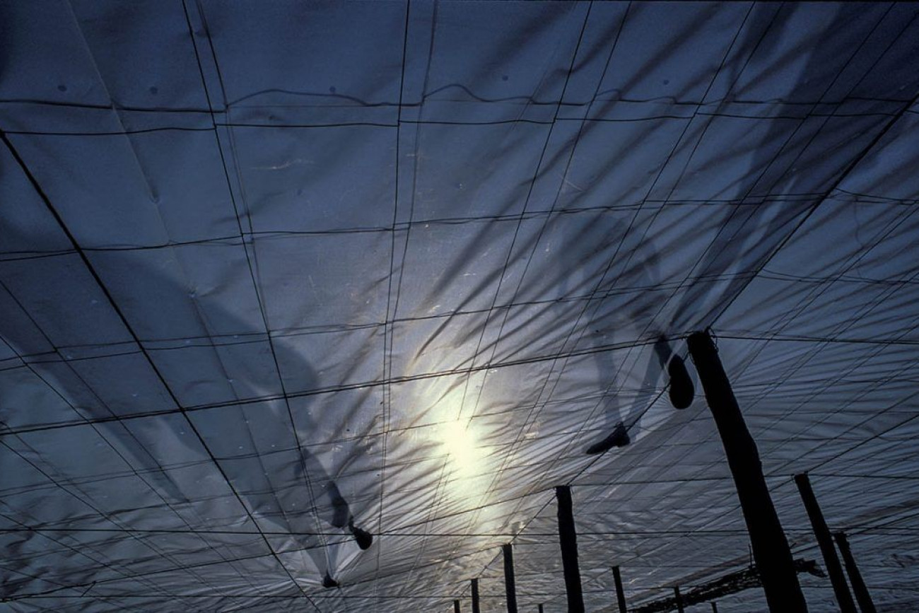 Raúl Montanós Huerta de Europa