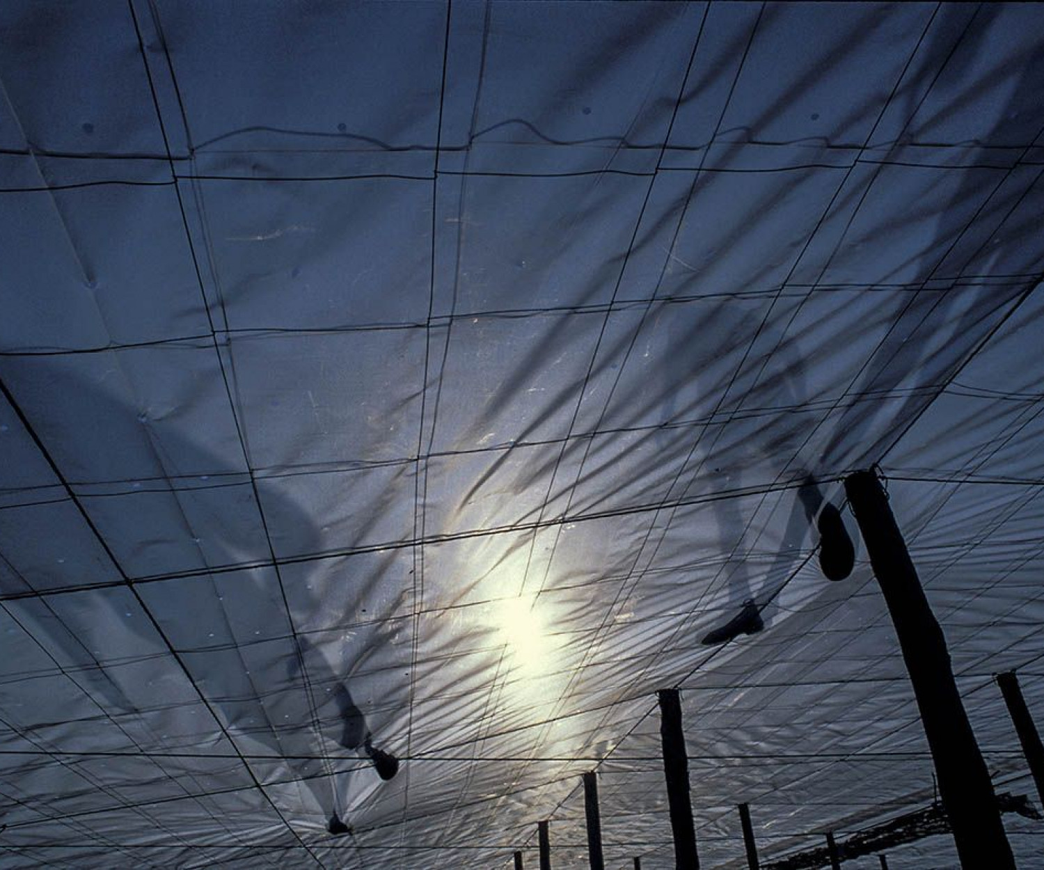 Raúl Montanós Huerta de Europa