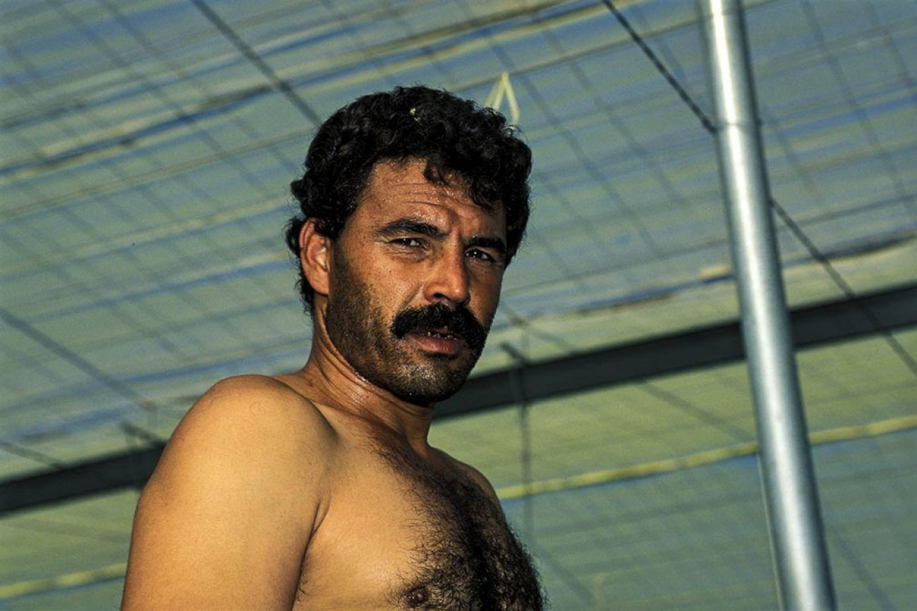 Raúl Montanós Huerta de Europa