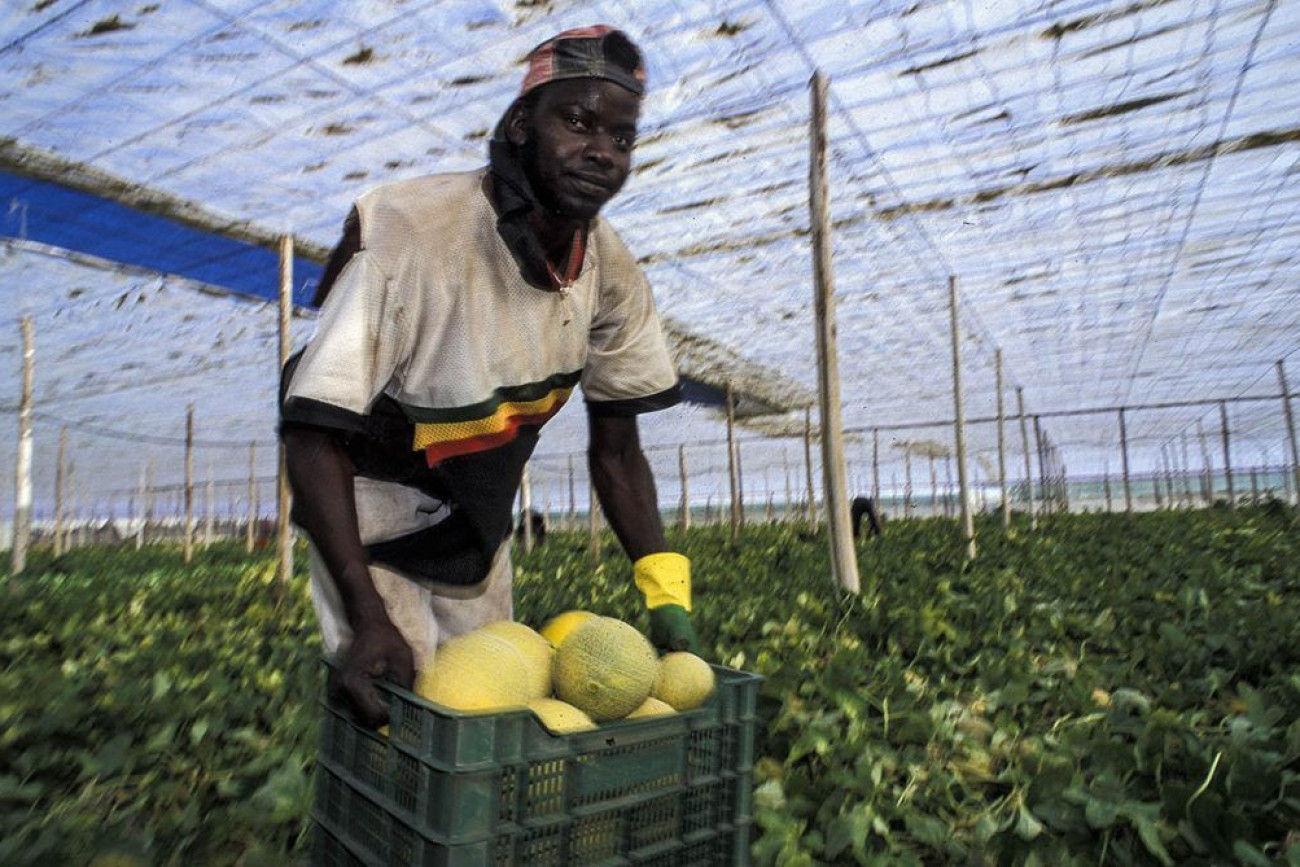 Raúl Montanós Huerta de Europa