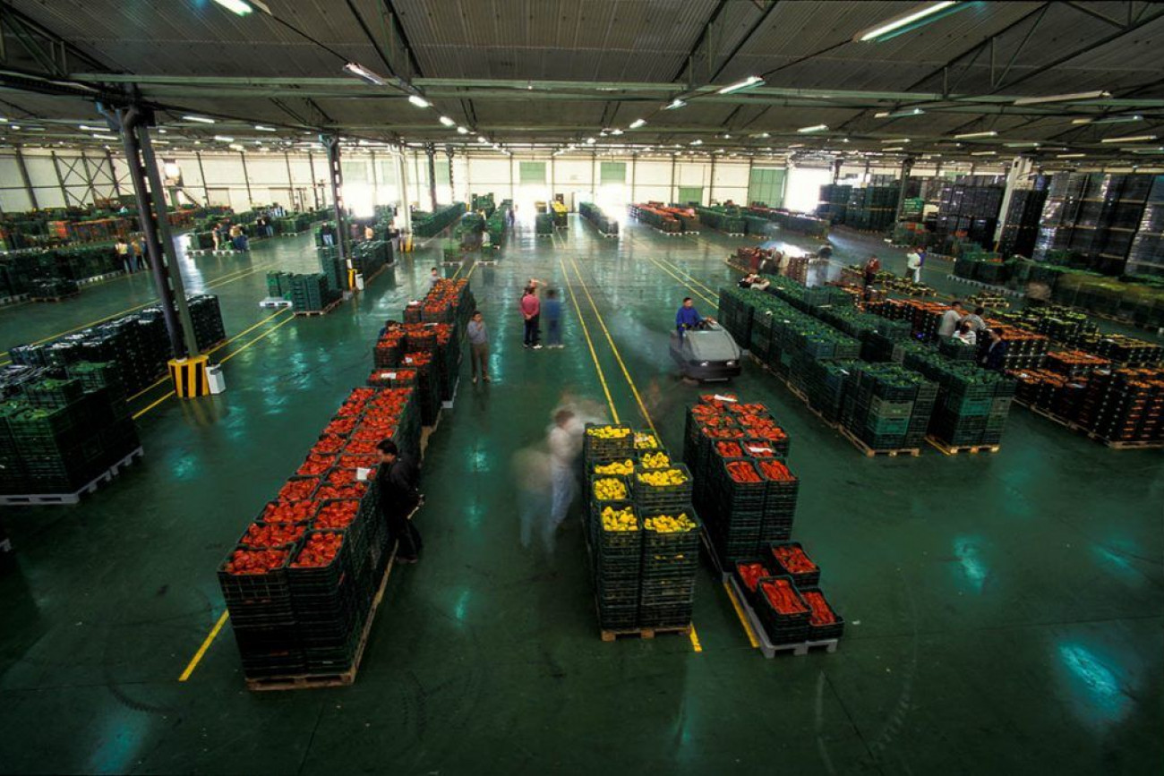 Raúl Montanós Huerta de Europa