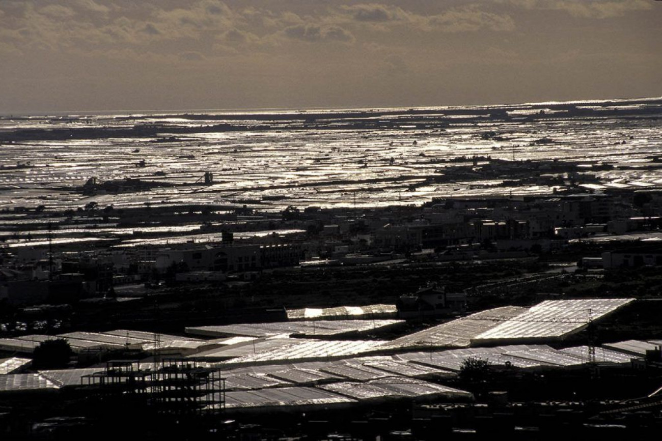 Raúl Montanós Huerta de Europa