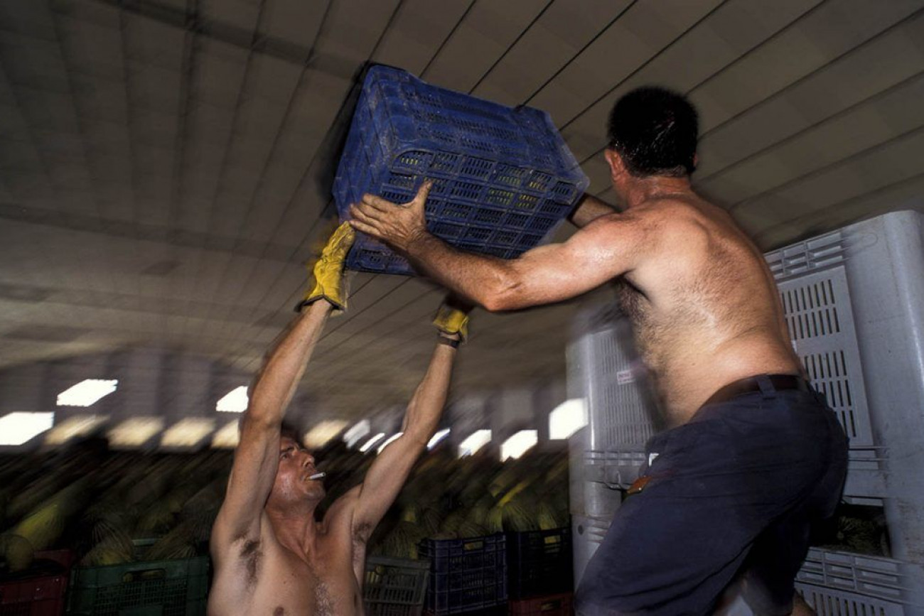 Raúl Montanós Huerta de Europa