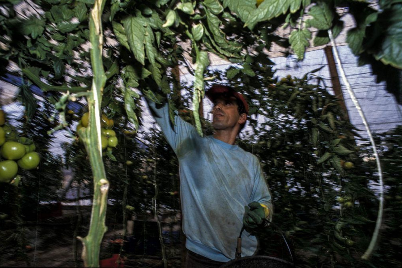 Raúl Montanós Huerta de Europa