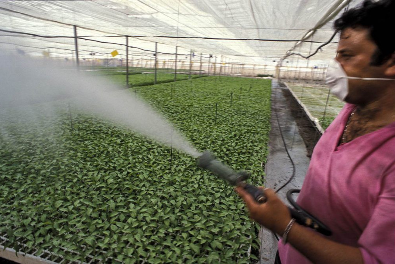 Raúl Montanós Huerta de Europa