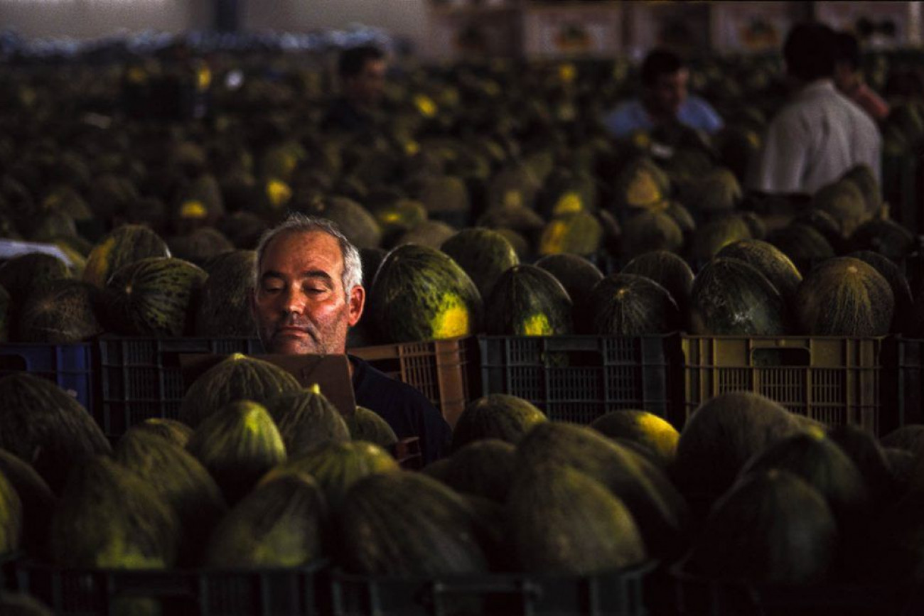Raúl Montanós Huerta de Europa