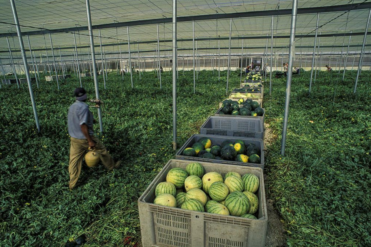 Raúl Montanós Huerta de Europa