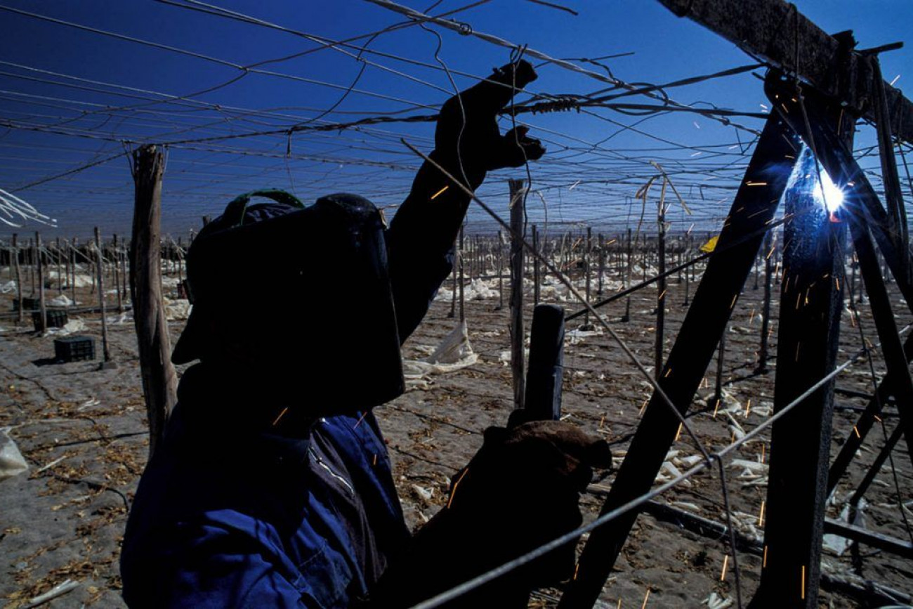 Raúl Montanós Huerta de Europa