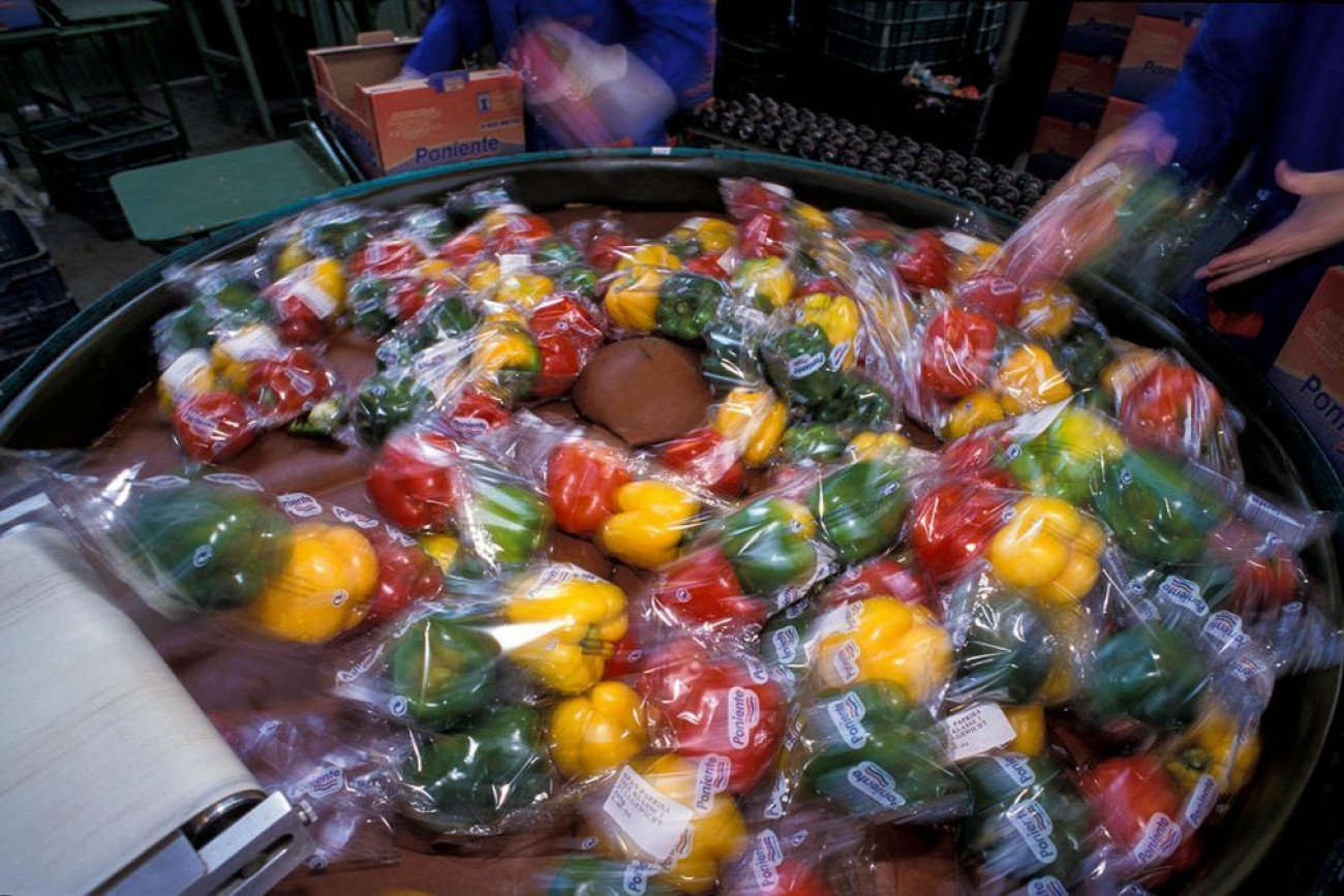 Raúl Montanós Huerta de Europa