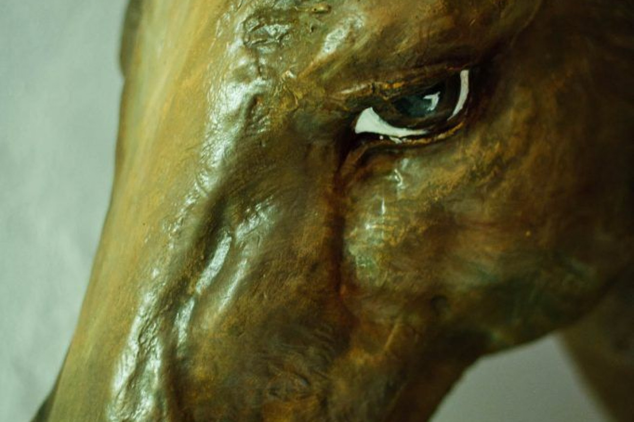 Raúl Montanós fotografías de Murcia