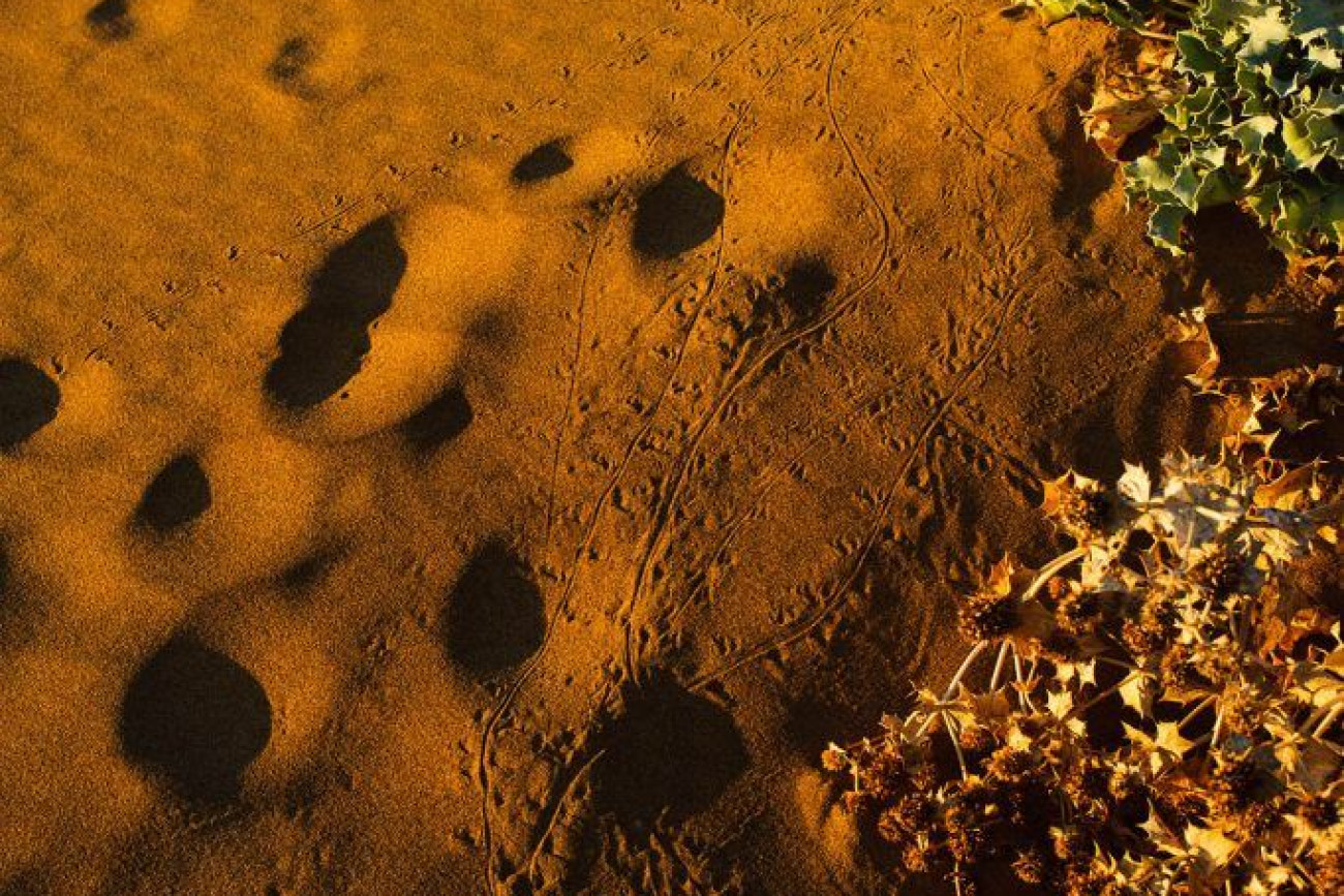 Raúl Montanós fotografías de Murcia