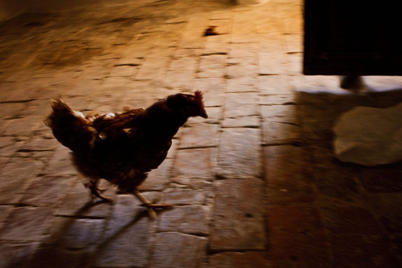 Raúl Montanós fotografías de Murcia