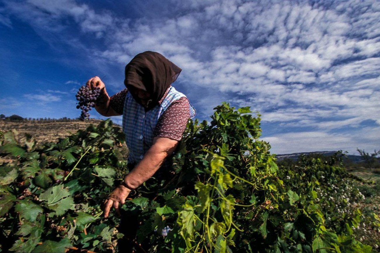 Raúl Montanós El Ports de Morella