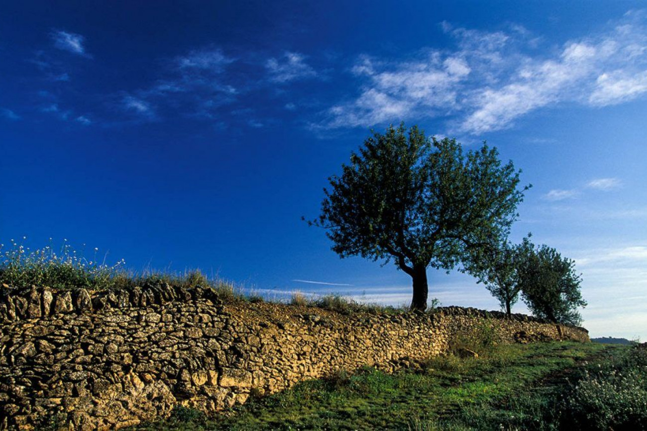 Raúl Montanós El Ports de Morella