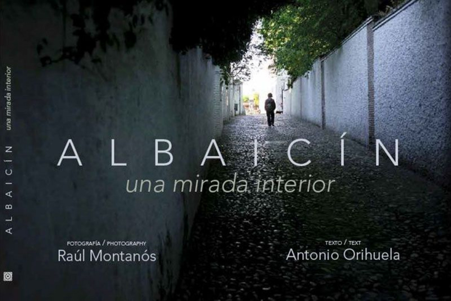 Albaicin una mirada interior