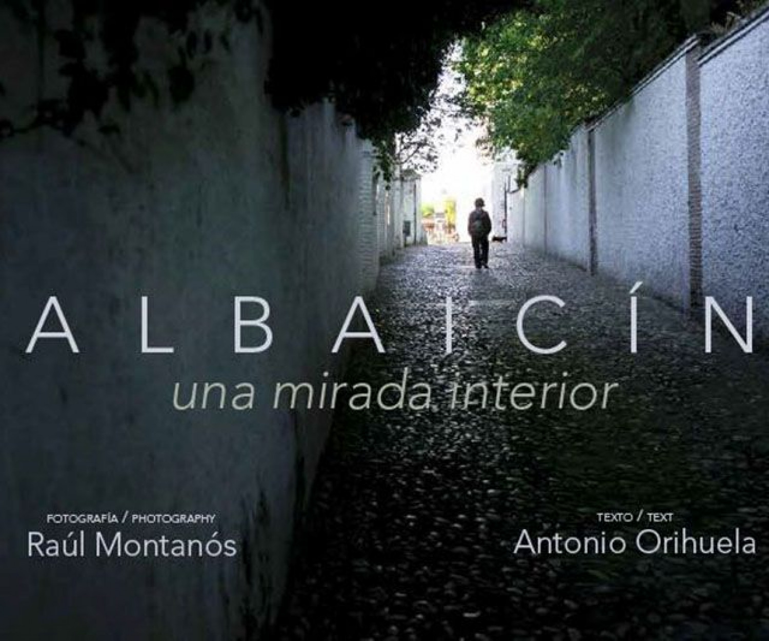 Albaicin una mirada interior